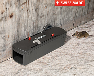 topsnap-Indoor-Mausefalle